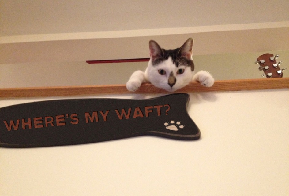 1271278 506681762740876 1516507015 o