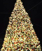 Screen Shot 2014-12-12 at 8.11.58 PM