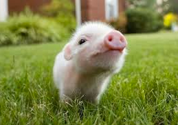 Screen Shot 2014-12-12 at 8.11.21 PM