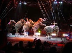 Screen Shot 2014-12-12 at 7.44.32 PM