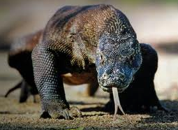 Screen Shot 2015-01-03 at 5.08.08 PM