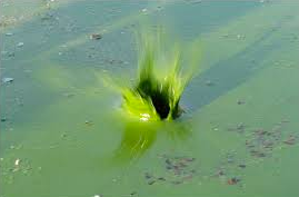 Screen Shot 2015-01-03 at 4.58.44 PM